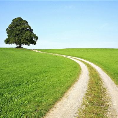 风云体育app官网入口