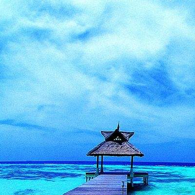 皇冠APP官方版下载安装手机app下载