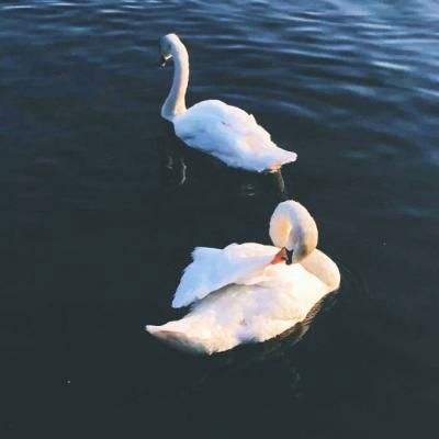 2023管家婆资料正版大全澳门app下载截图