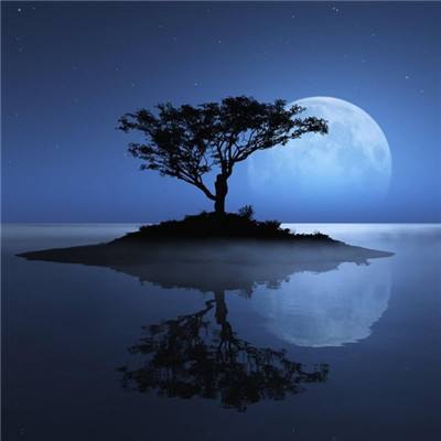 beat365手机app下载