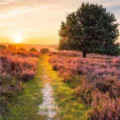 2023管家婆资料正版大全澳门app下载截图